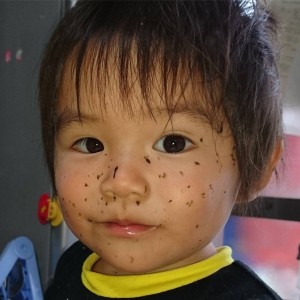 味のりを1枚あげご飯を作っていて、振り向いたらこれでした笑