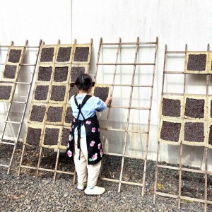 海苔作り体験で、美味しい海苔を食べるために、寒い中頑張って作りました!