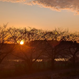 ベランダから望む太陽に今日もやるぞ~とファイトが湧きます
