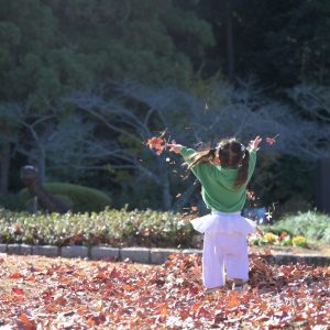 沢山の紅葉に大はしゃぎ
洋服が落ち葉だらけになるまで遊びました。