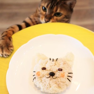 食いしん坊な我が家の愛猫が狙う先にあるのは、海苔や小豆、黒豆、鮭フレークをつかって作った猫型おにぎりです。