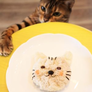 食いしん坊な我が家の愛猫が狙う先にあるのは、海苔や小豆、黒豆、鮭フレークをつかって作った猫型おにぎりです。