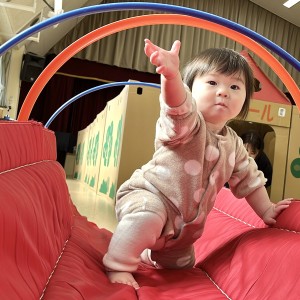 しっかりポーズをとっているようです