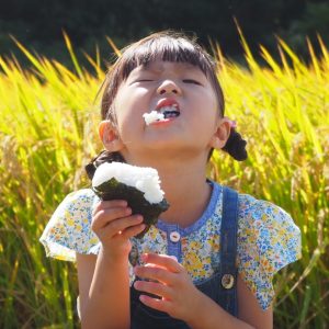 3歳娘のお散歩コースにある田んぼ道。おにぎり持ってピクニック。