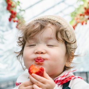 1年ぶりのいちご狩り。
まだ小さかった去年の記憶はなかったようでたくさんのいちごに大興奮!
たくさん食べてママにも分けてくれてとっても喜んでくれました。