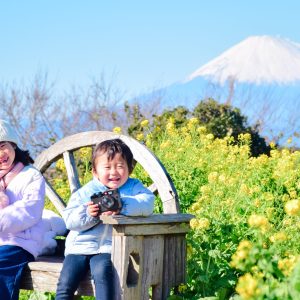 富士山を背に、菜の花に囲まれた春の日。
並んで笑うふたりの姿が、わが家のいちばんの宝物です。