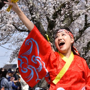 「YOSAKOI祭り」で元気に踊る姿が素晴らしい。