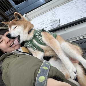 雪が大好きな16歳半の愛犬、元気もりもり!
おじいちゃんになっても表情豊かです♪