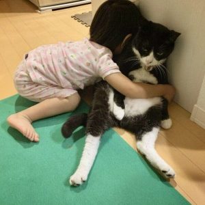 兄弟と思っているのかハグするのが大好きらしくずっとしてます。ひめ(ペットの猫ちゃん)もされるがままです。笑