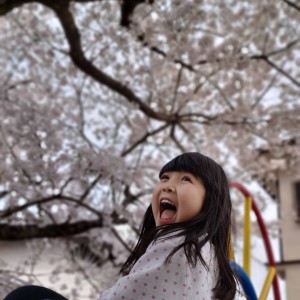満開の桜の木の下で滑り台を滑ろうとした娘が、
綺麗な桜が手に届きそうで大喜び!元気いっぱいの表情を見せてくれました