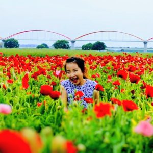 埼玉県の鴻巣市にある一面のポピー畑。家族のお気に入りの場所です。
お花に囲まれて幸せいっぱい!