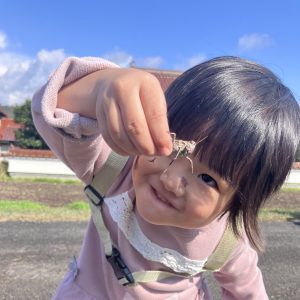 むしさん大好きで、たくさんつかまえたよ!