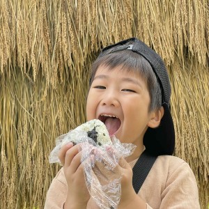 母ちゃんが作ってくれた海苔おにぎり食べると元気がもりもりわいてくる