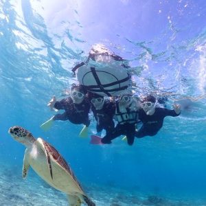 ウミガメと一緒に写真出会えてとても幸せ。みんなでワクワク