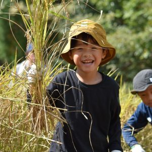 初めての稲刈りで、1人でカマを使って稲を刈るのがとっても大変でしたが、どうにかギコギコして刈れて、このポーズ!!