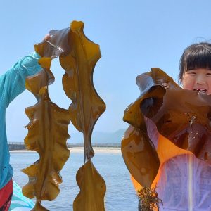 とにかく海が大好きな子ども達を念願のビーチに連れて行ったときの一コマです。
漂っていた大きな昆布を見つけて、GET!!初めて見る昆布に大喜びの2人でした!!