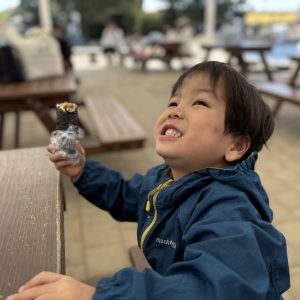 節分で恵方巻きを食べてからというもの、息子は海苔巻きにどハマり笑。
明日ピクニックに行くけどお弁当の中身何がいい?と言うと「海苔巻き!」と叫びます。食べてる時も美味しいなあとにこにこ。家族全員で海苔巻き弁当になりました。