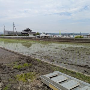我が家は米農家。
種をまき、苗を育て、田んぼを作り、ようやく田植え。
田植えしたあともやることはたくさんですが、
無事に植えられたことで少しほっとします!