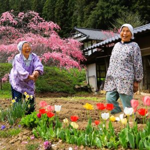 畑仕事中のおばさんに知り合いのおばあちゃんがやってきて、畑の中で世間話。話が弾み、おばあちゃんの笑顔満開に…。春ですね〜。