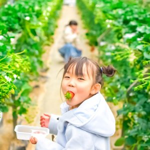 いちごをかじって、おどけた感じの顔は、私を幸せにしてくれる。