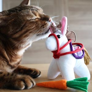 今年の干支の午と一緒に飛躍と幸せを願いました。