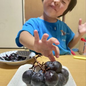 美味しすぎて嬉しさが隠しきれない、ぶどうを食べる息子です