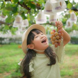 大好きなブドウを食べに、ブドウ狩りへ行った際に撮った1枚です。大好きなブドウに囲まれて幸せそうな娘の姿を撮りました。