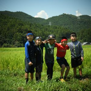 夏休みになって、田んぼで遊ぶ子供たちを了解を得て、スナップしました。