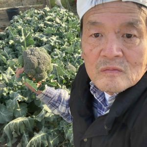 畑を少し借りて家庭菜園をやっていますが、今シーズンの冬は最低気温が低い日が続きます。ブロッコリーを昨年の10月初旬に苗を植えたのが、今年の今(2月6日)になって、ようやく食べられるようになりました。これまでスーパーで値段を見て恨めしい日々が続きました。ウレシー早速今夜はサラダでしっかり味わって食べます。